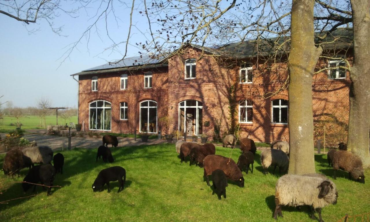 Schaeferwagen Auf Dem Biogut-Saalkow Hotel Gustow  Exterior foto