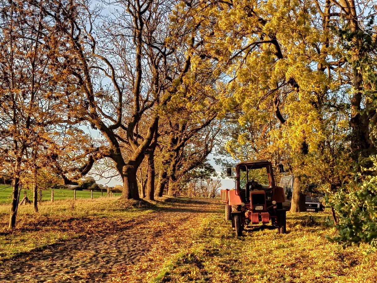 Schaeferwagen Auf Dem Biogut-Saalkow Hotel Gustow  Exterior foto